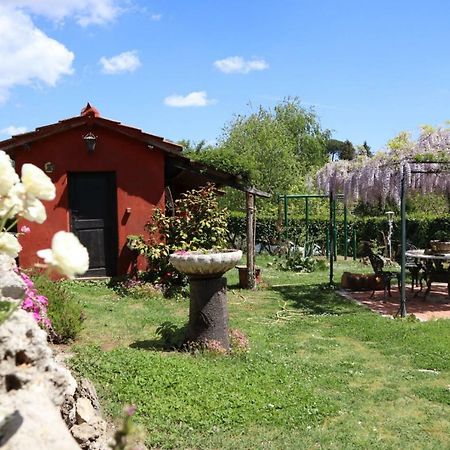 Casal D'Upupa Bed & Breakfast San Cesareo Ngoại thất bức ảnh